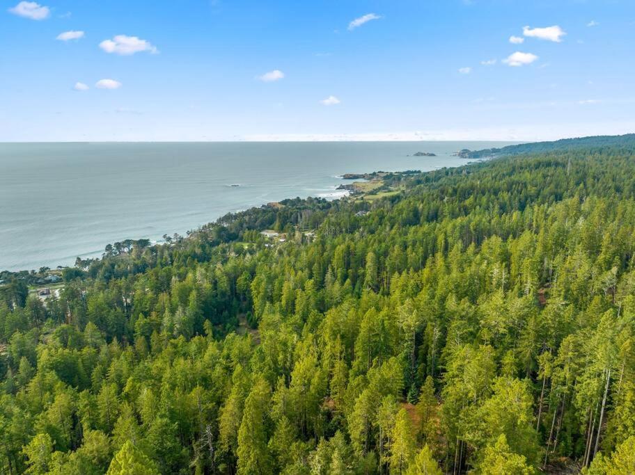 Grandma'S Cabin By The Sea غوالالا المظهر الخارجي الصورة
